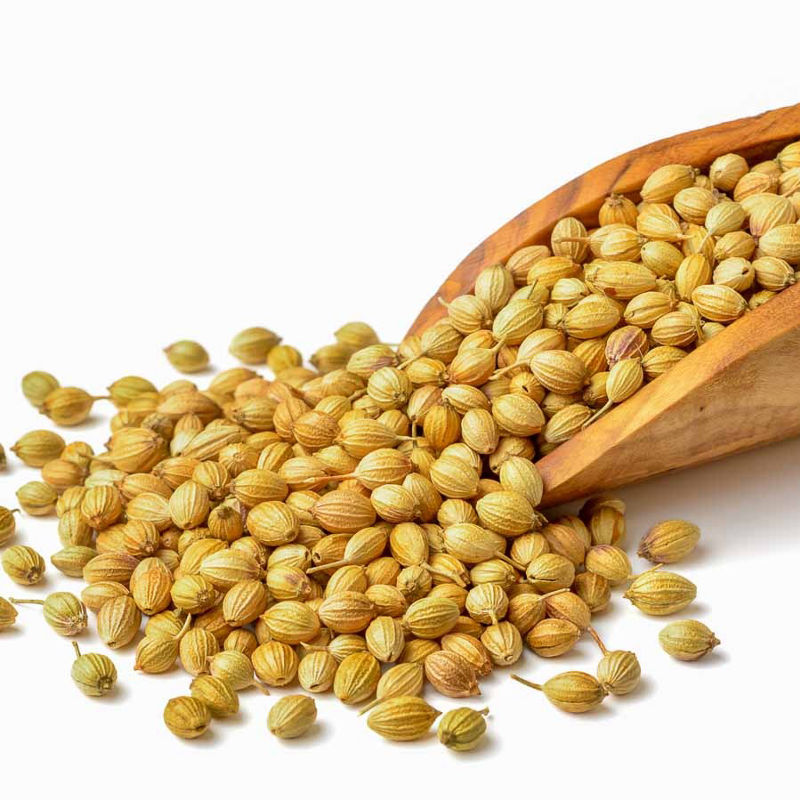 Coriander Seeds-2