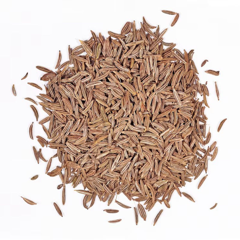 Cumin (Jeera) – Cuminum cyminum L - Image 4