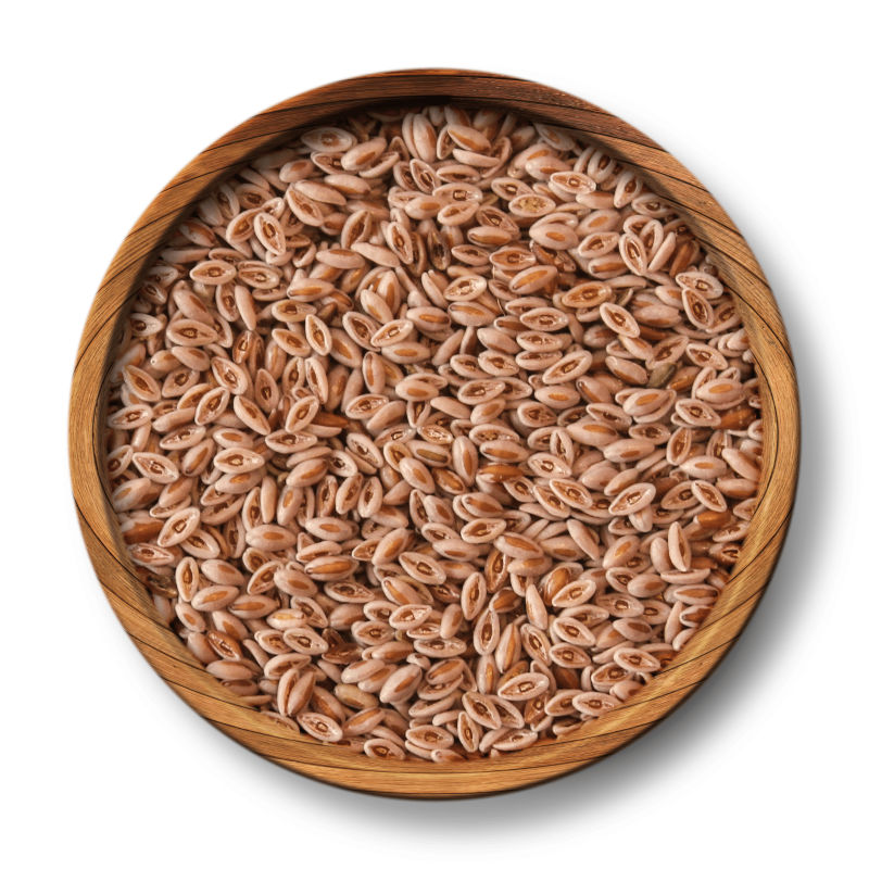 Psyllium Seeds - Image 3