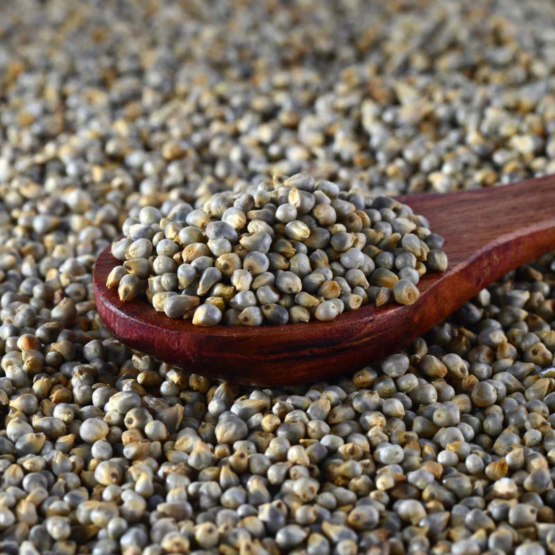 Millet (Bajra) - Image 4