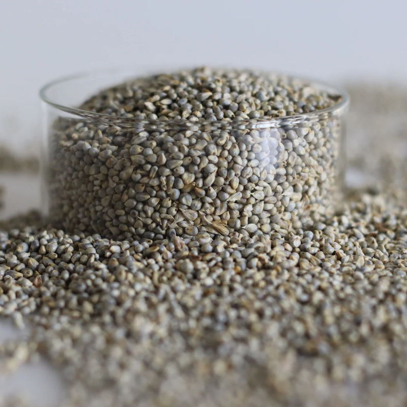 Millet (Bajra) - Image 3