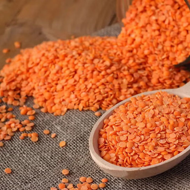 Lentils (Masoor Dal) - Image 2
